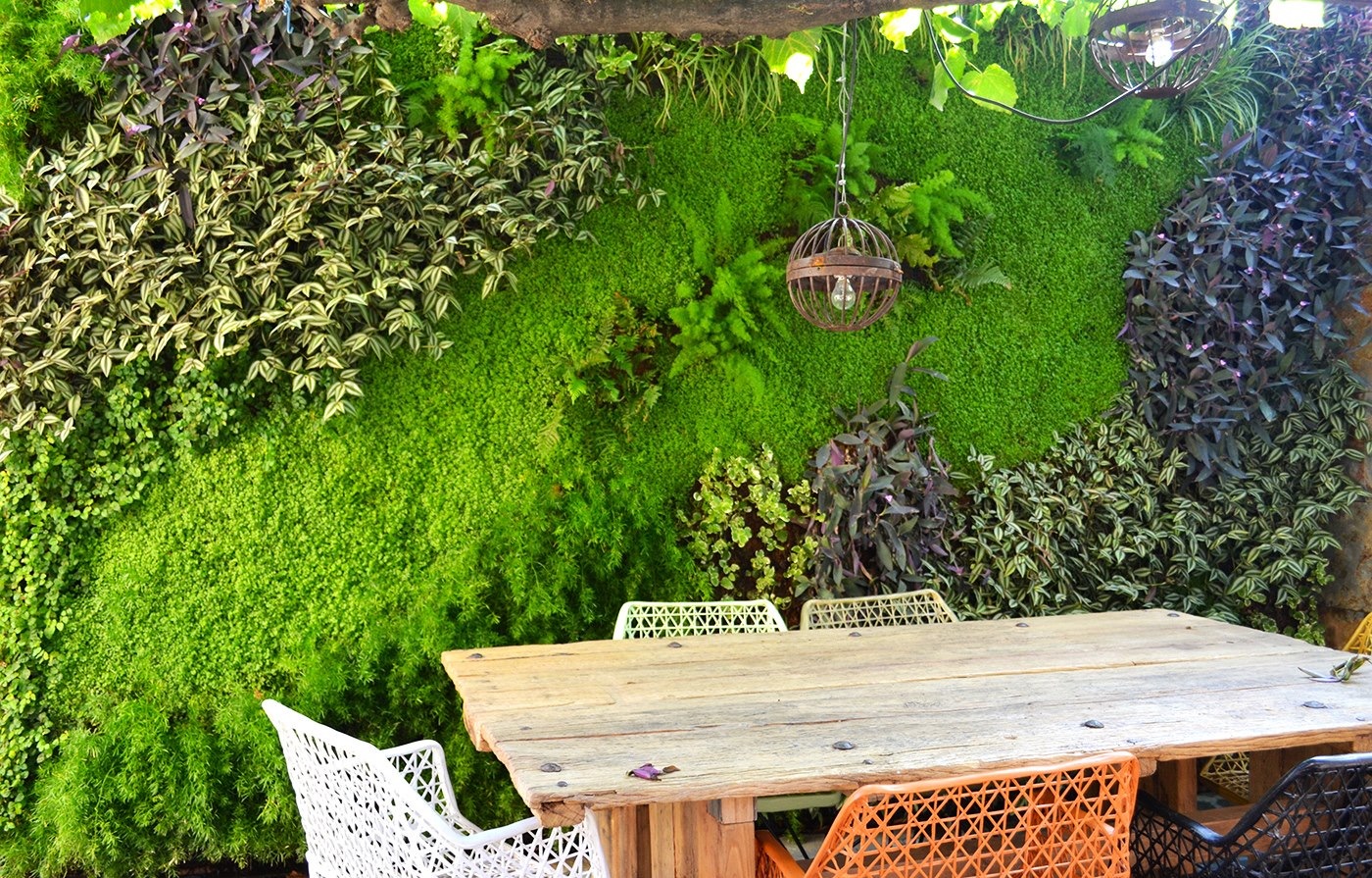 Musgogreen: Decoración e interiorismo vegetal, jardines verticales,  decoración con musgo, proyectos contract.